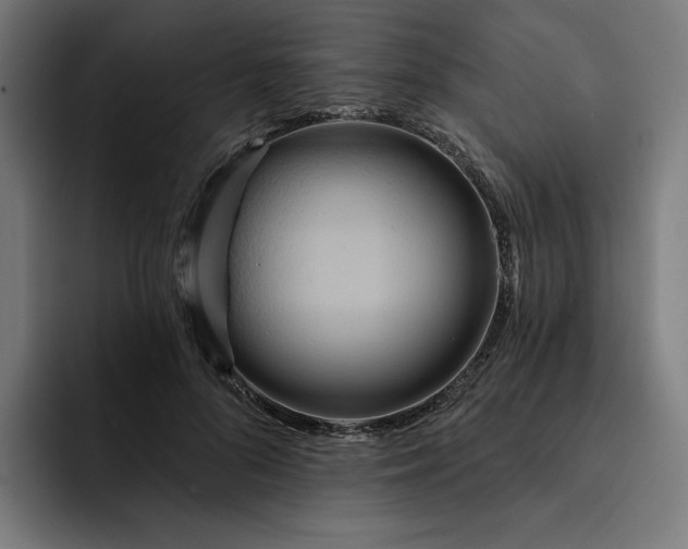 X0000093250696200710101441