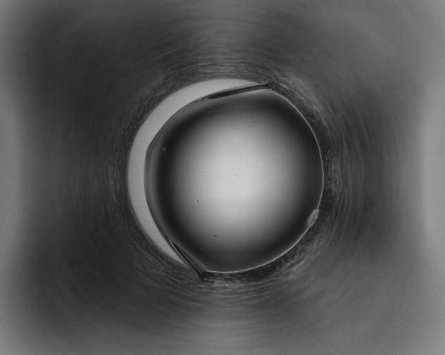 X0000093250697200710101441