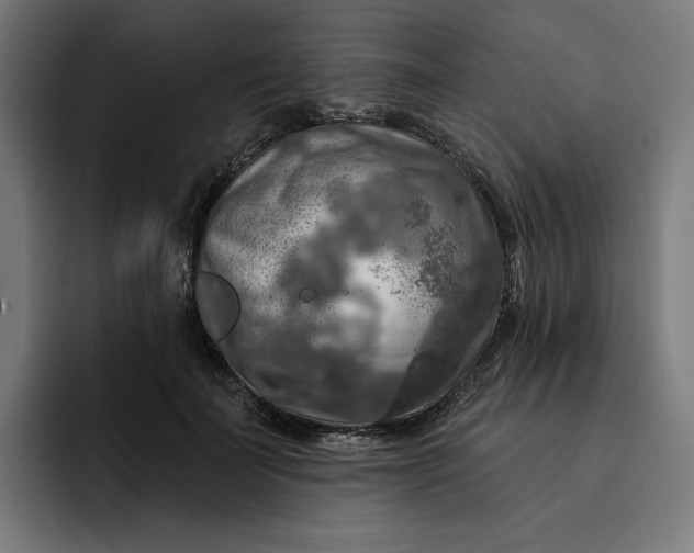 X0000093250699200710101441