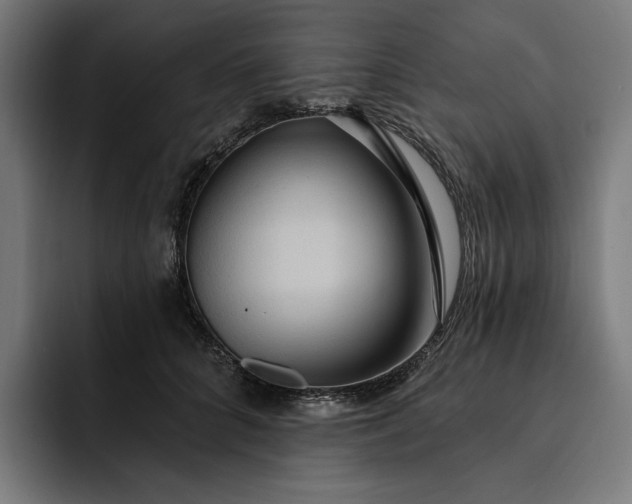 X0000093250704200710101441