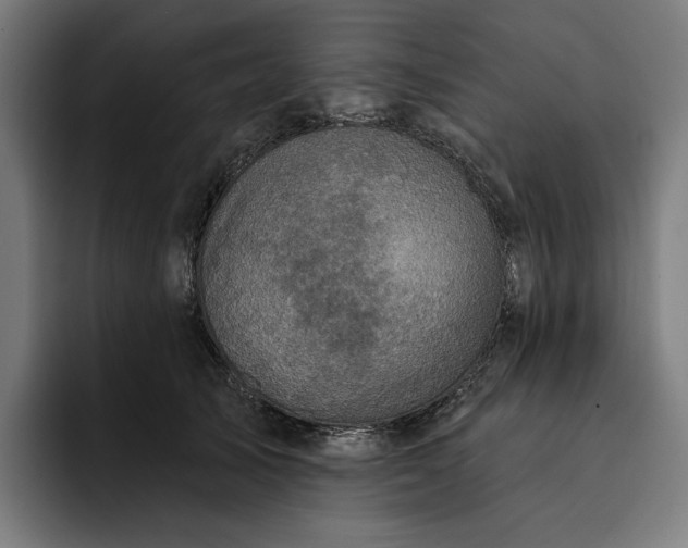 X0000093250705200710101441