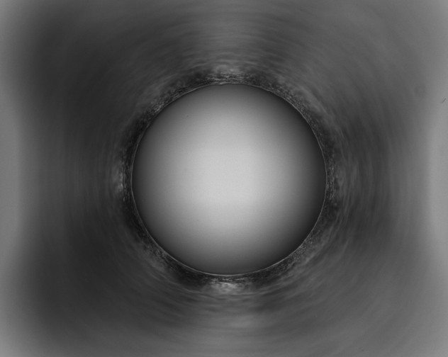 X0000093250706200710101441