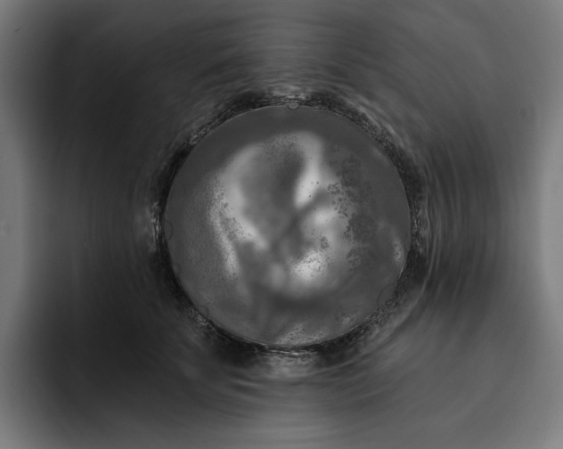 X0000093250707200710101441