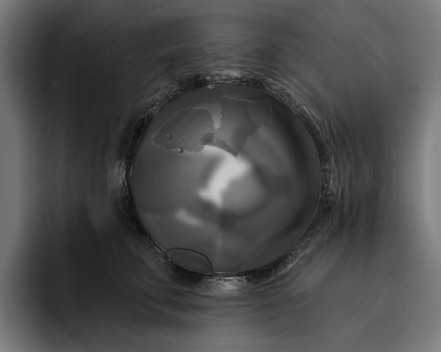 X0000093250711200710101441