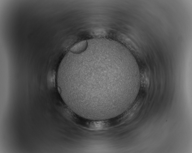 X0000093250717200710101441