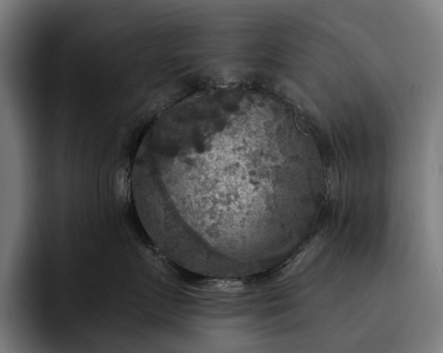 X0000093250719200710101441