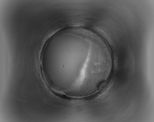 X0000093250721200710101440