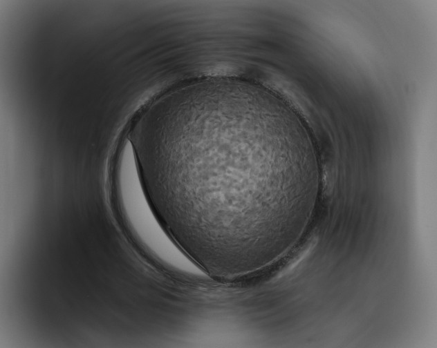 X0000093250725200710101440