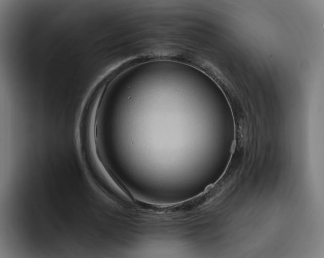 X0000093250726200710101440