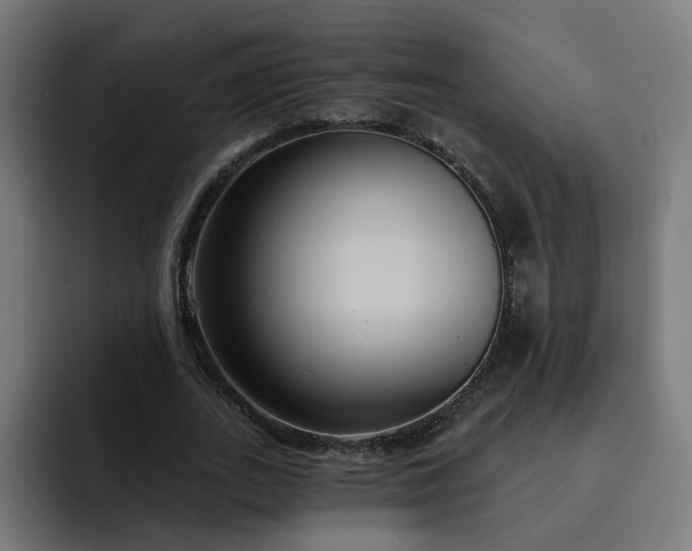 X0000093250727200710101440