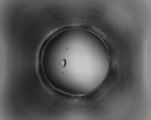 X0000093250728200710101440