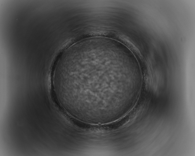 X0000093250729200710101440