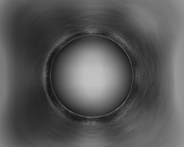 X0000093250730200710101440