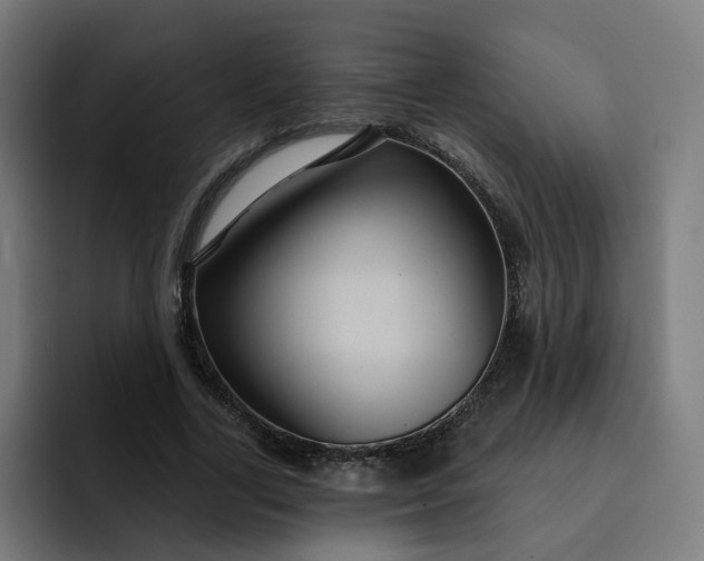 X0000093250731200710101440