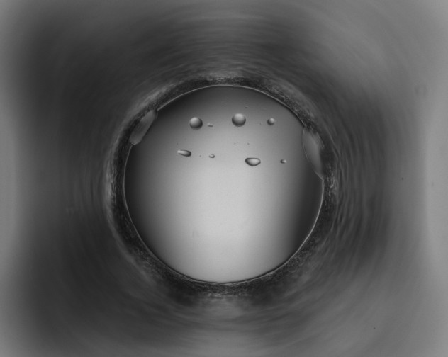 X0000093250732200710101440