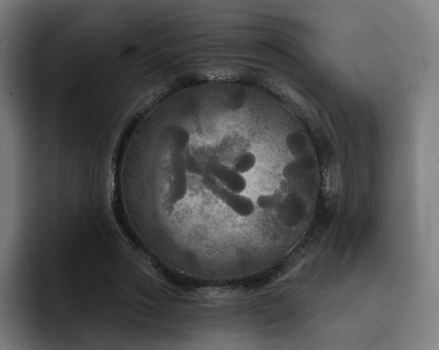 X0000093250733200710101440