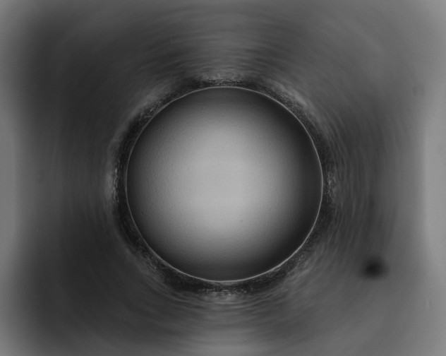 X0000093250735200710101440