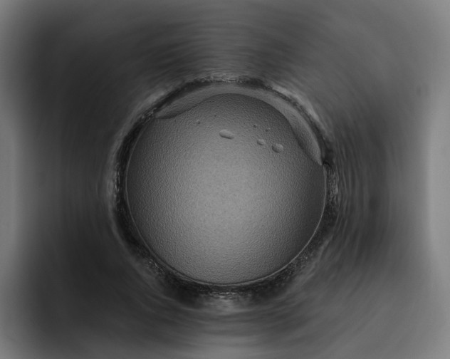 X0000093250736200710101440