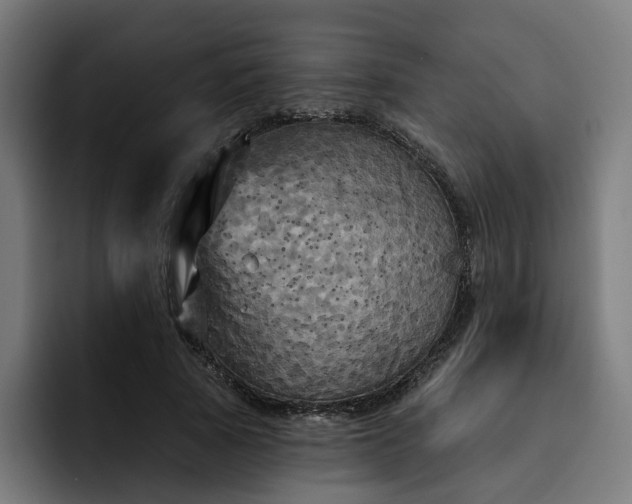 X0000093250737200710101440