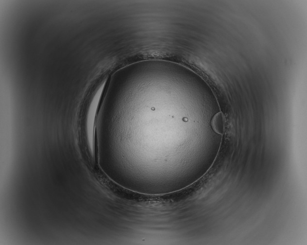 X0000093250738200710101440