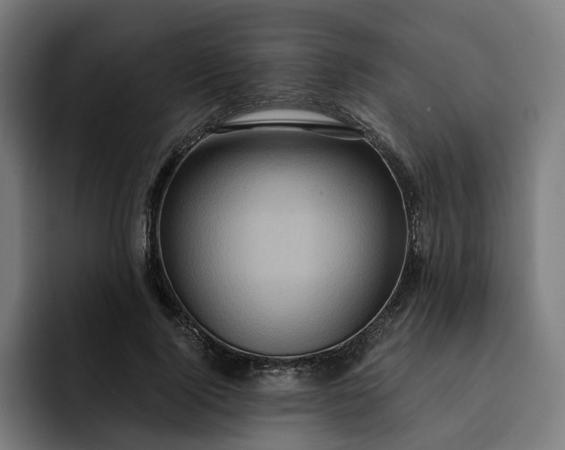 X0000093250740200710101440