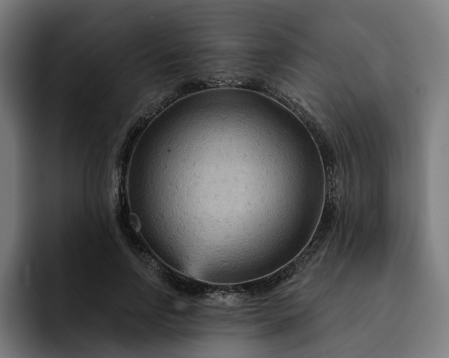 X0000093250742200710101440