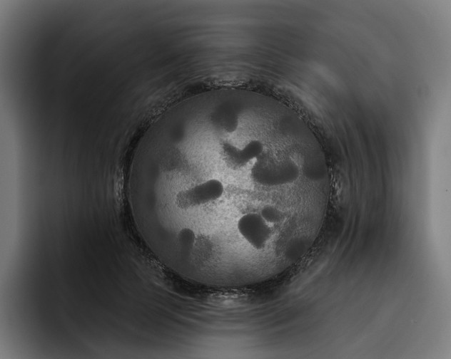 X0000093250745200710101440