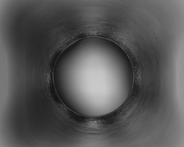 X0000093250746200710101440