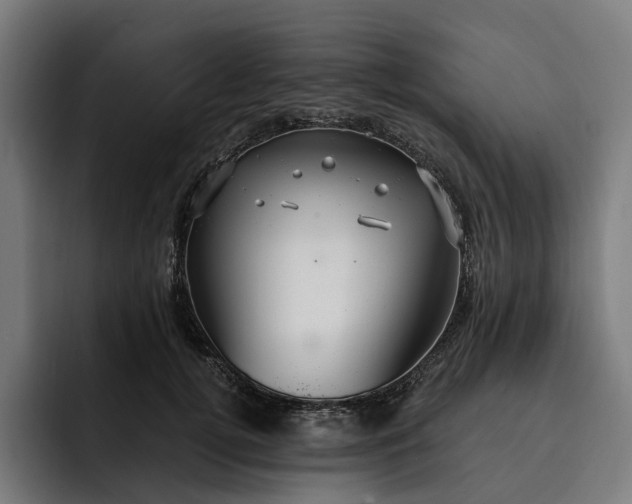 X0000093250752200710101440