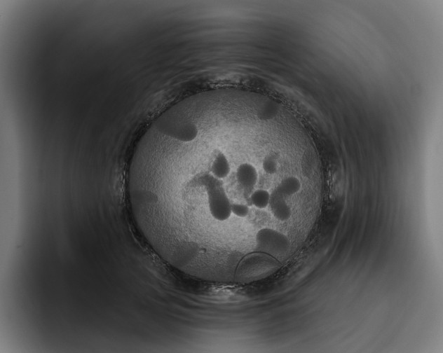 X0000093250753200710101440