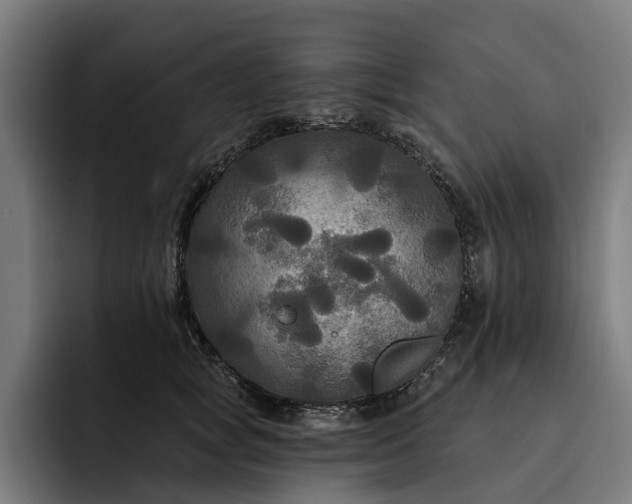 X0000093250757200710101440