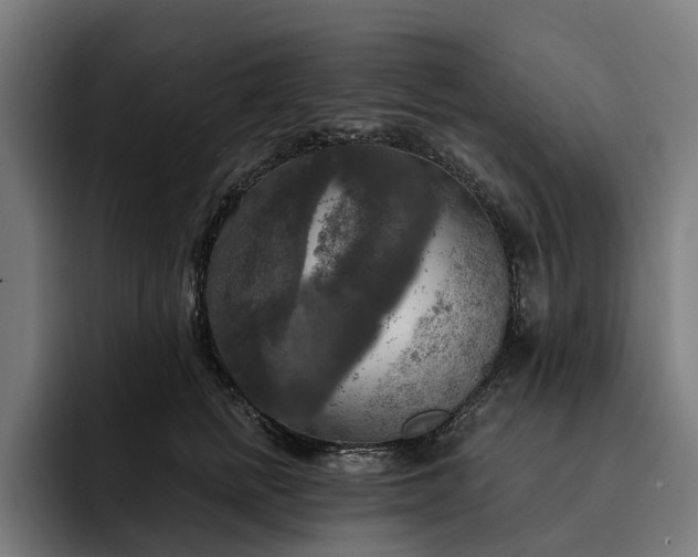 X0000093250758200710101440