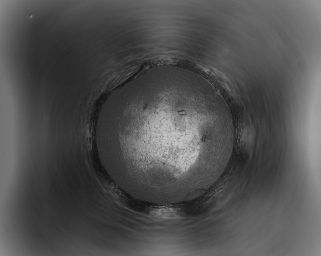 X0000093250759200710101440