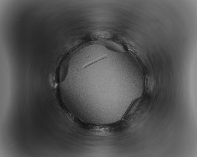 X0000093250760200710101440