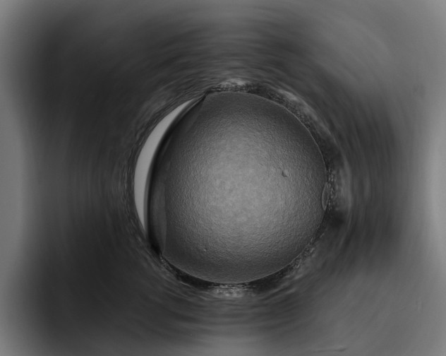 X0000093250762200710101440