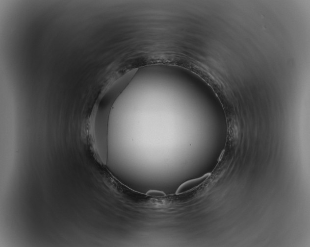 X0000093250764200710101440