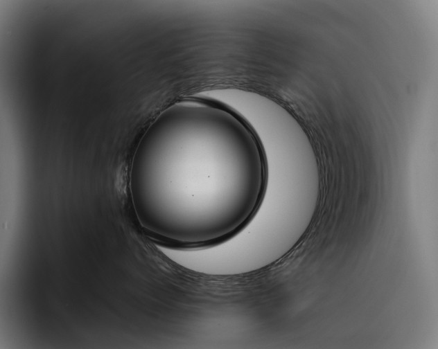 X0000093250768200710101441