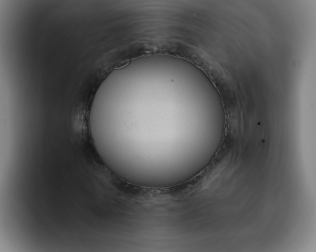 X0000093250770200710101440