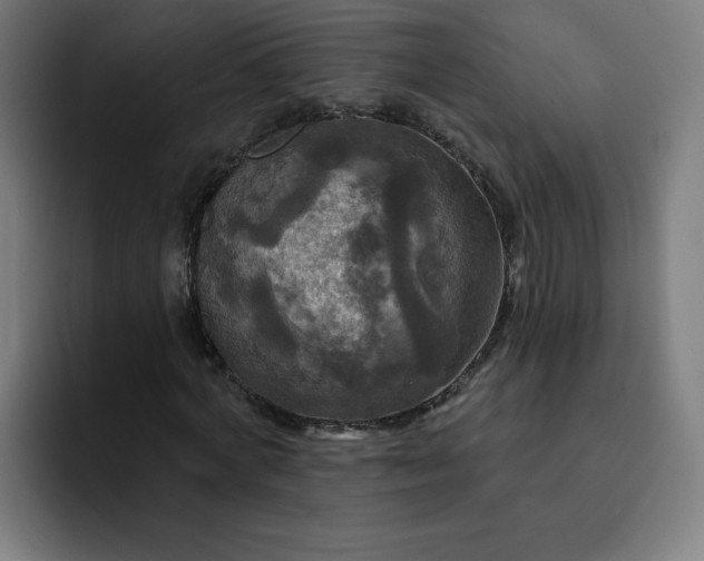 X0000093250772200710101440