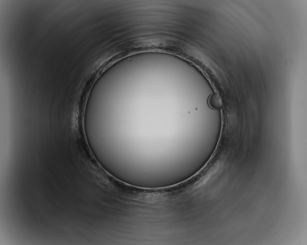 X0000093250778200710101440