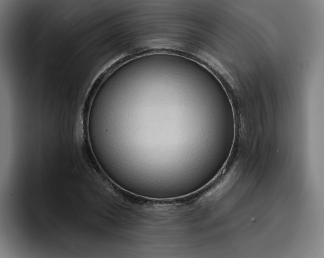 X0000093250782200710101440