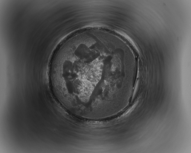 X0000093250783200710101440