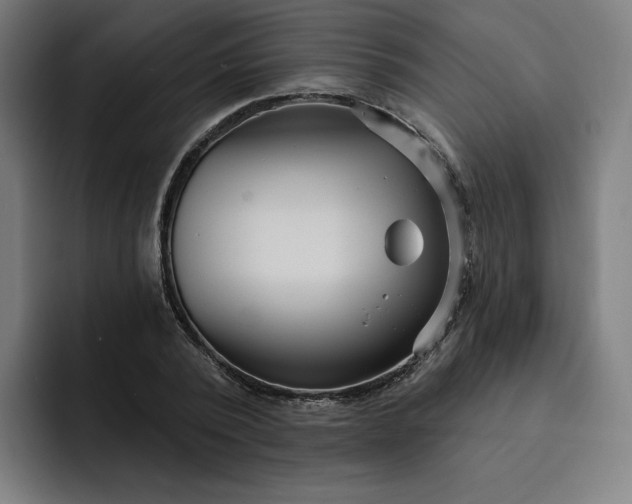 X0000093250784200710101440