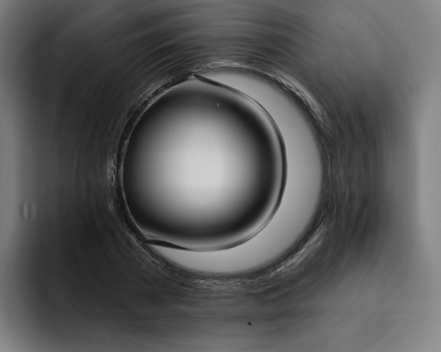 X0000093250785200710101440