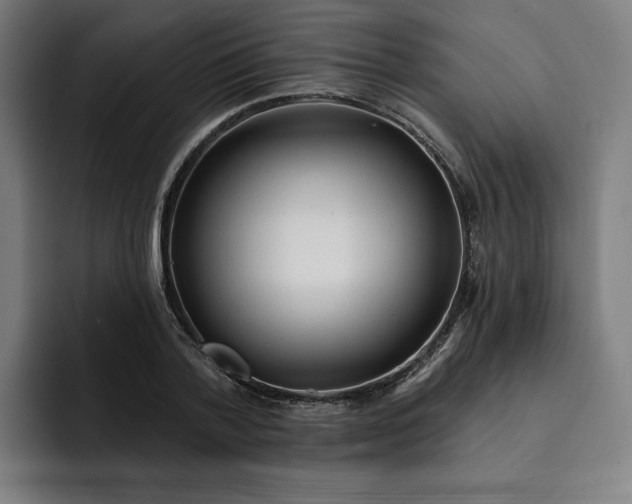 X0000093250788200710101440