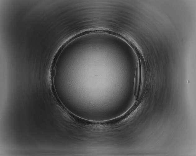 X0000093250789200710101440