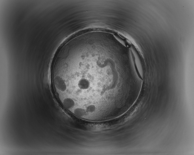 X0000093250791200710101440