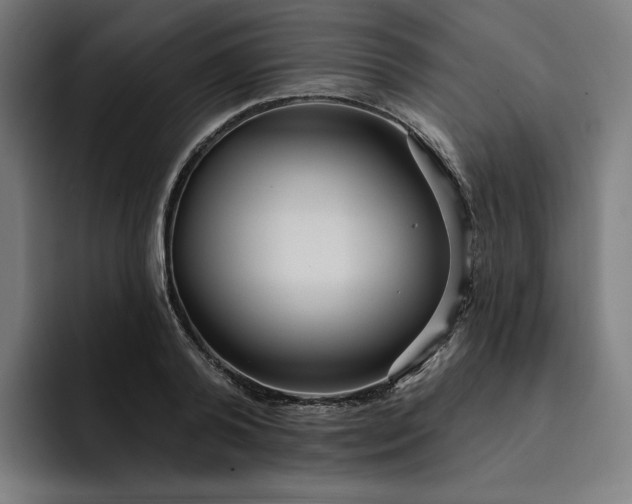 X0000093250792200710101440