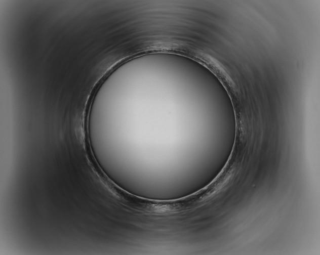 X0000093250794200710101440