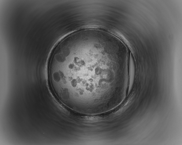 X0000093250795200710101440